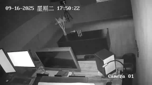 Caméra IP - Chine