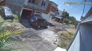 Caméra IP - Messico