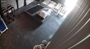 Caméra IP - Polinesia Francesa