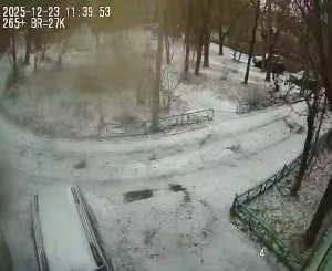 Caméra IP - Russian Federation