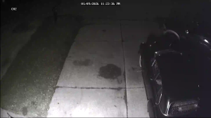 Caméra IP - United States of America