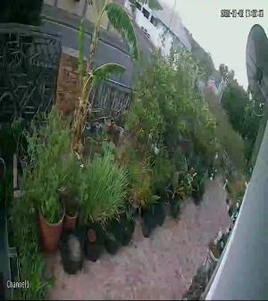 Caméra IP - Südafrika