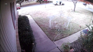 Caméra IP - Vereinigte Staaten von Amerika