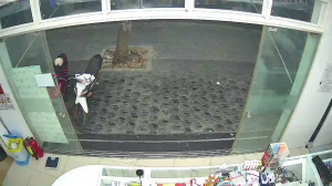 Caméra IP - Vietnam