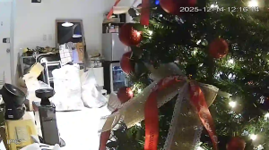 Caméra IP - South Korea