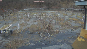 Caméra IP - South Korea