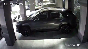 Caméra IP - Georgia