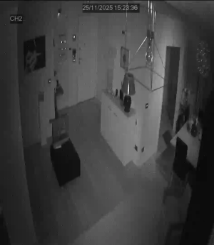 Caméra IP - Italien