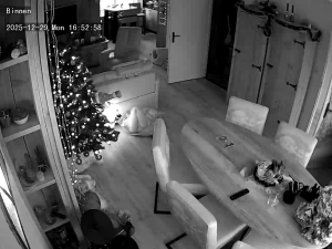 Caméra IP - Pays-Bas