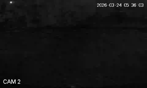 Caméra IP - Sudafrica