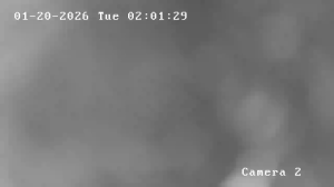 Caméra IP - Australia