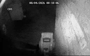 Caméra IP - Pays-Bas