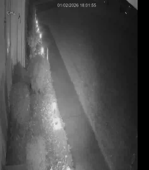 Caméra IP - Vereinigte Staaten von Amerika