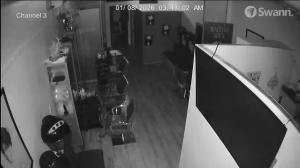 Caméra IP - United States of America