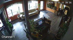 Caméra IP - United States of America