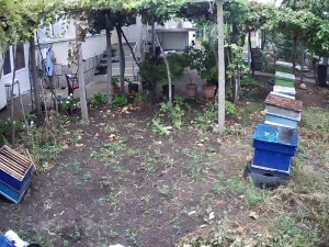 Caméra IP - Bulgaria