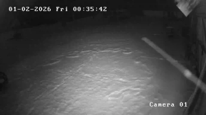 Caméra IP - Lituanie