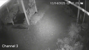 Caméra IP - United States of America