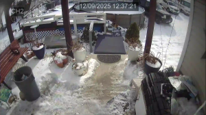 Caméra IP - United States of America