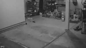 Caméra IP - États-Unis d'Amérique