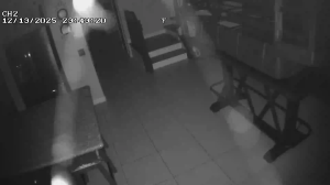 Caméra IP - United States of America