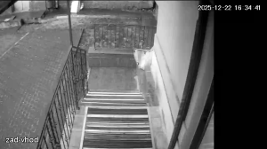 Caméra IP - Ucrania