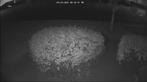 Caméra IP - Vereinigte Staaten von Amerika