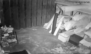 Caméra IP - Portugal