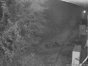 Caméra IP - United States of America