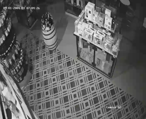 Caméra IP - Pologne