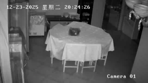 Caméra IP - People's Republic of China