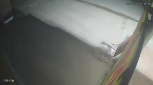 Caméra IP - Vietnam