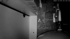 Caméra IP - Belgium