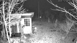 Caméra IP - Hungary