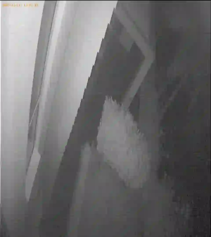 Caméra IP - Neuseeland