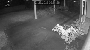 Caméra IP - Curaçao