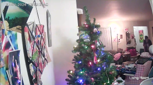 Caméra IP - United States of America