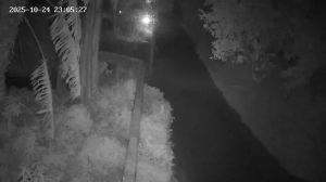 Caméra IP - Mauritius