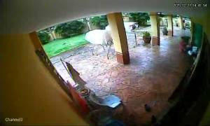 Caméra IP - Malaisie