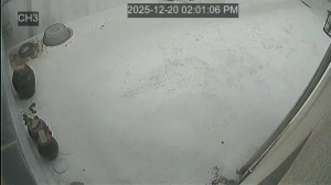 Caméra IP - South Korea