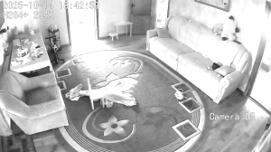 Caméra IP - Ucrania