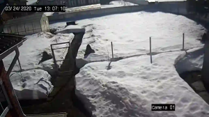 Caméra IP - Russische Föderation