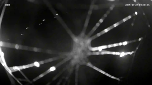 Caméra IP - Belgium