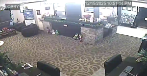 Caméra IP - United States of America