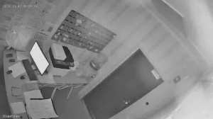 Caméra IP - Russische Föderation