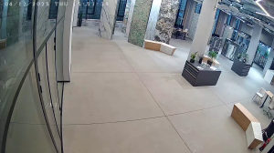 Caméra IP - Russian Federation