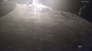 Caméra IP - United States of America