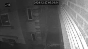 Caméra IP - Corée du Sud