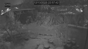 Caméra IP - Corée du Sud