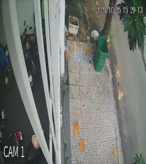 Caméra IP - Vietnam